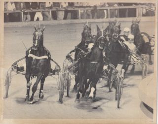 Roosevelt Raceway Harness Horse Race,  Westbury,  L.  I. ,  Yankee Wins