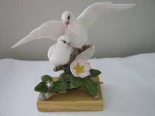 Country Artists For The Discerning Birds Of The World Doves With Flowers