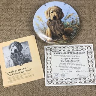 1987 Knowles Collectors Plate " Caught In The Act - The Golden Retriever " Lynn Kaatz