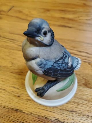 Vintage Boehm Baby Blue Jay Bird Porcelain Figurine 436 Euc