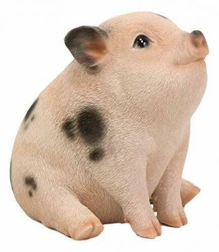 Ebros Napoleon Fat Piglet Pig Statue 6 " Long With Glass Eyes Piggy Figurine