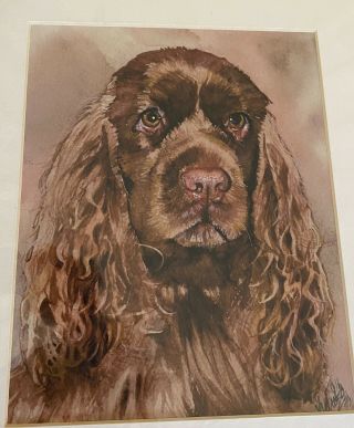 Sussex Spaniel Print 8x10 Matted