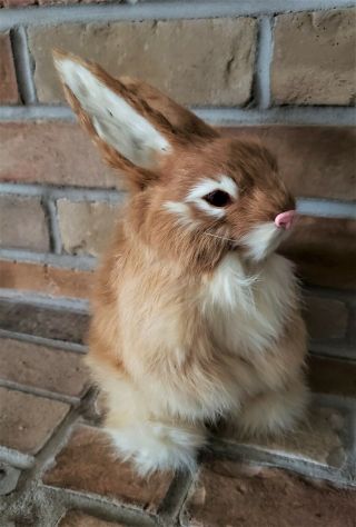 Realistic Full Size Bunny Rabbit Made W Real Rabbit Fur 10 " High