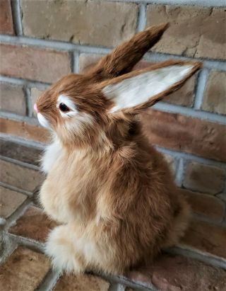 REALISTIC Full Size Bunny Rabbit made w REAL RABBIT Fur 10 