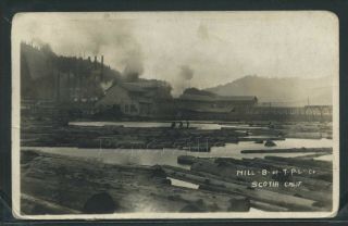 Ca Scotia Rppc 1925 Mill B Of T - P - L Company Log Pond & Mill