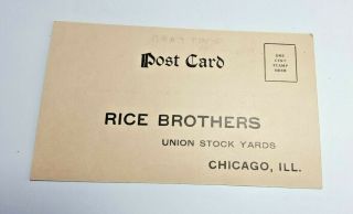 Rice Brothers Union Stock Yards Chicago Postcard Notice Of