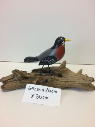 American Robin ? Hand Crafted Red Chest Bird Wood Carving Art Sculpture