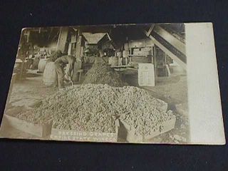 Pressing Grapes,  Empire State Wine Co.  Real Photo Postcard