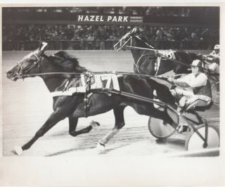 Hazel Park Harness Horse Race,  " Gracious Gander " Wins,  1977