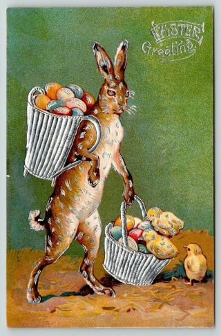 Standing Upright Bunny Rabbit With Egg Basket & Chicks 1907 Easter Postcard - C523