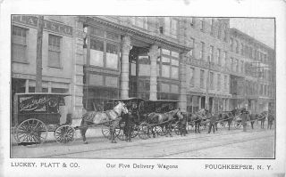 Poughkeepsie Ny Luckey,  Platt & Co.  Five (5) Horse - Drawn Delivery Wagons P/c