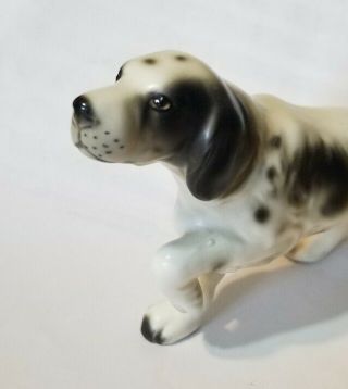 Vintage Porcelain Bird Hunting Dog English Setter Long Hair Pointer Figurine 3