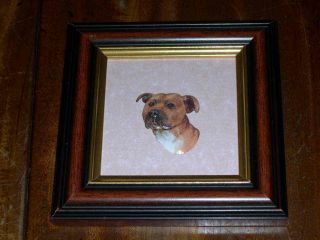 Vintage Staffordshire Bull Terrier 3d Dog Painting Framed