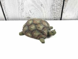 2005 " Enesco Home Grown Pineapple Turtle Figurine " (4004842)