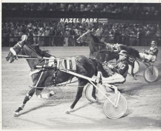 Hazel Park Harness Horse Race,  " Andy 