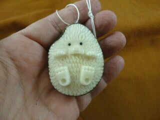 (tne - Hed - 636e) Little White Baby Hedgehog Tagua Nut Ornament Carving Vegetable