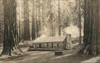 Yosemite Rppc Galen Clark Cabin At The Mariposa Grove Azo Real Photo Post Card