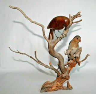 Hand Carved Wood Birds On Driftwood Sculpture Signed By Artist K.  E.  Carl 1979