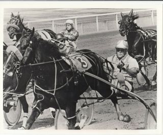 Hollywood Park Raceway Harness Horse Race,  " Larry Gregory " Wins