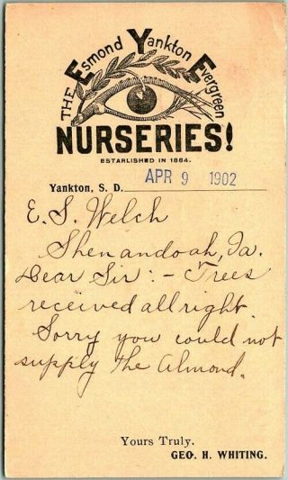 1902 Yankton South Dakota Business Postcard Esmond Evergreen Nurseries W/ Cancel