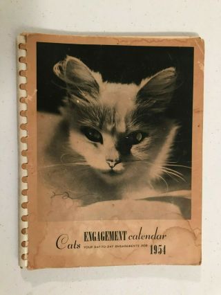 1954 Cats Engagement Calendar Vintage Black - And - White Photos,  Kittens