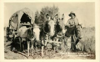 Rppc Postcard Donkeys Burros Covered Wagon Trail Breakers Of Imperial Valley Ca