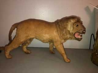 Vintage Taxidermy Miniature Lion Made With Real Hair - Fur Statue