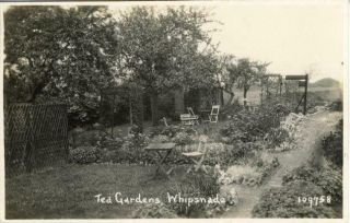 Real Photo Postcard Of The Tea Gardens,  Whipsnade (near Dunstable),  Bedfordshire