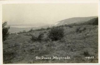 Real Photo Postcard Of The Downs,  Whipsnade,  (near Dunstable),  Bedfordshire