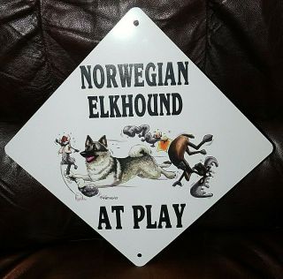 Norwegian Elkhound At Play 12 " X12 " Metal Sign