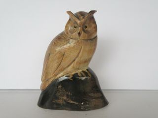 Hand Carved Wood Owl W/ Glass Eyes,  Signed