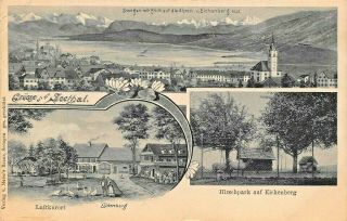 Seethal Argovia Switzerland Panorama - Luftkurort - Hirschpark 1907 Postcard