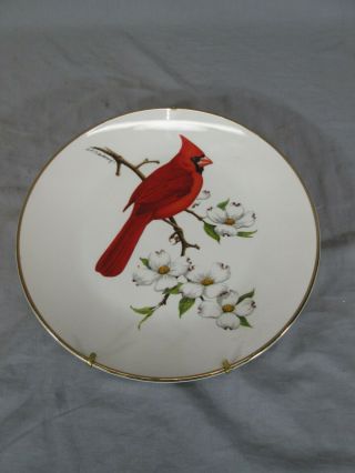 Vintage Avon Cardinal North American Songbird Plate,  By Don Eckelberry 1974