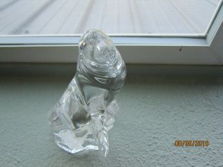 Crystal Glass Wonders Of The Wild Walrus On Rock Seal Figurine 5 "