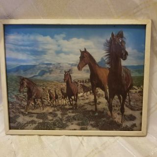 Vintage Lenticular Wild Black Stallion Horse Picture Frame 11x14