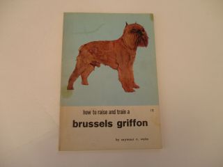Brussels Griffon Toy Dog Raise Train Breed Care Vintage 1969