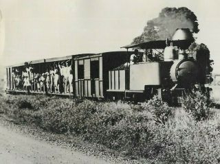 1940s - 1950s Photo Postcard Fiji Csr Coy Train Transport Railway