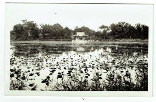 China Postcard Peking Beijing Lake In Imperial City