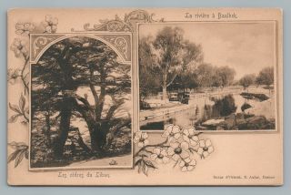 Cedars Du Liban—baalbek Lebanon Antique Art Nouveau Multiview—turkish Pub Udb