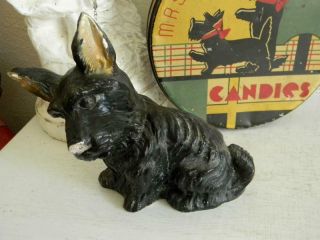 Rare Vintage Carnival Chalkware Scottie Dog Bank