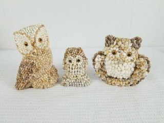 3 Vintage Sea Shell Encrusted Owl Made In Philippines Cute