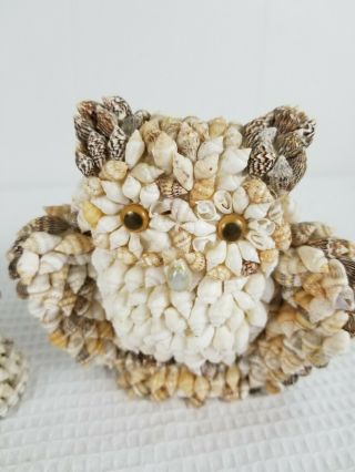 3 Vintage Sea Shell Encrusted Owl Made in Philippines Cute 2