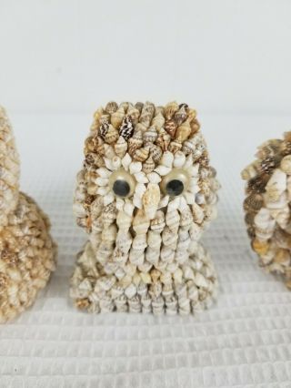 3 Vintage Sea Shell Encrusted Owl Made in Philippines Cute 3