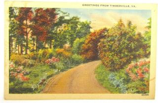 Vintage 1949 Postcard Greetings From Timberville Va