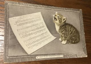 Vintage Postcard Cat Kitten Singing Sheet Music Meet Me By Moonlight Alone