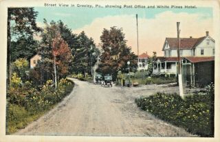 Street View,  Showing The Post Office & The White Pines Hotel,  Greeley Pa