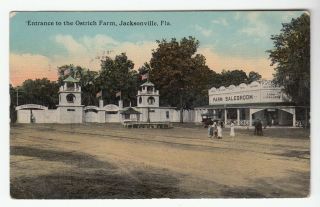 [49734] 1913 Postcard Entrance To The Ostrich Farm In Jacksonville,  Florida