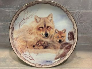 Puppy Love Sheltering Love Bradford Exchange Plate Wolf Wolves 1047a 2001
