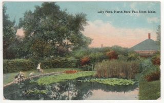 Fall River Massachusetts Pc Postcard Lilly Pond North Park Mass Ma Gardens