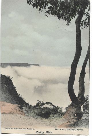 Rising Mists Blue Mountains Nsw Postcard